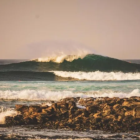 Апартаменты La Casa Del Toro Коральео